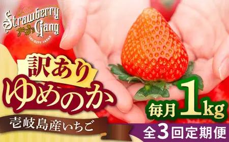 【先行予約】【訳あり/簡易包装】【全3回定期便】ゆめのか 約250g×4パック【2027年1月以降順次発送】【Strawberry Gang】 [JEM004] イチゴ 苺 訳あり