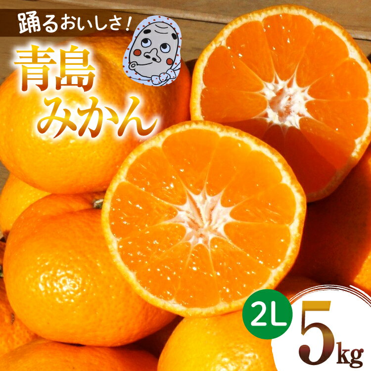【ふるさと納税】 【期間限定発送】踊るおいしさ！味濃く甘い！ 青島みかん 2L 5kg [奈須農園 宮崎県 日向市 452061479] 果物 フルーツ 柑橘 みかん ミカン