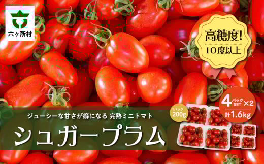 青森県六ヶ所村産トマト　1.6㎏