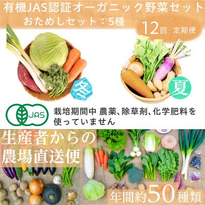 ふるさと納税 掛川市 【毎月定期便】有機 野菜　おためしセット　オーガニック野菜　有機JAS　しあわせ野菜畑全12回