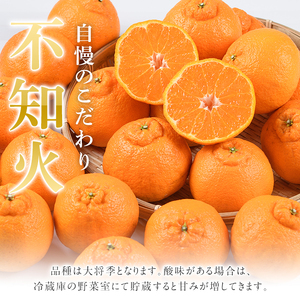 ＜先行予約受付中！2025年12月上旬以降順次発送予定＞数量限定！鹿児島県産加温ハウス栽培の不知火「大将季」(計約3kg) 旬 フルーツ 果物 柑橘 みかん【三笠農業生産】akn051-07