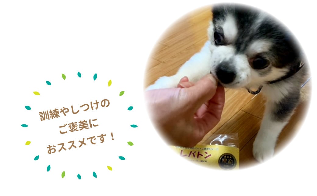 145-678 レバトン ( 豚 レバー ジャーキー 愛犬用 ) 犬 用 スナック おやつ