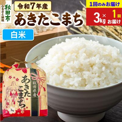 ふるさと納税 秋田市 あきたこまち3kg【1回お届け】 白米 令和7年|15_kml-010301h