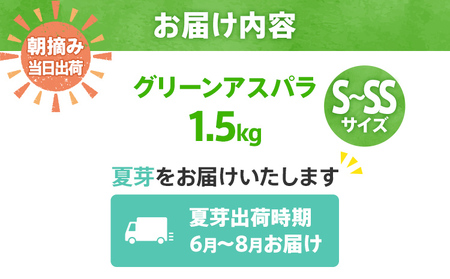 アスパラ 夏芽 2kg 期間限定 数量限定 グリーンアスパラ S～SSサイズ 2kg 朝採り直送 夏芽 S～SSサイズ 2kg 朝採れ アスパラ ふるさと納税 訳あり【出荷時期2024年7月～9月頃に