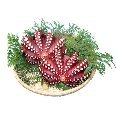 ふるさと納税 島原市 長崎産 地だこ 2尾 |  | 01