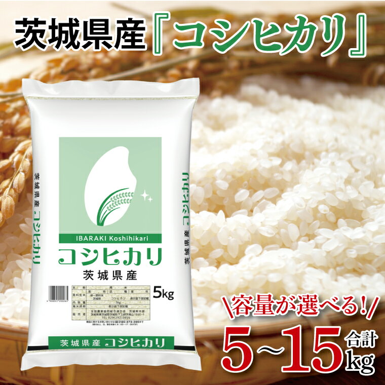 【ふるさと納税】【選べる kg】令和7年産 茨城県産 コシヒカリ 5kg 10kg 15kg【お米 白米 こしひかり コシヒカリ ごはん 茨城県】（03-48-1）