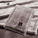 【ふるさと納税】【ダブルサイズ】ファータッチニューマイヤーあったかふんわか毛布　イズミファブリックス【1229315】