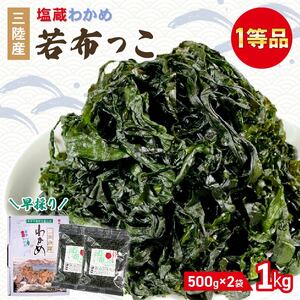 早採り 塩蔵わかめ 若芽っこ 500g×2袋 (計1kg) 海鮮 海藻 わかめ ワカメ 贈答品 贈答用 魚貝類 魚介類 みそ汁 スープ 酢の物 小分け 三陸産 岩手県 大船渡市