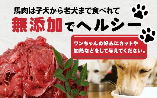 【定期便3回】ペット用 熊本加工 馬肉 切り落とし【 2kg ×3回配送 】 合計 6キロ ドッグ フード 無添加 無香料 ヘルシー 高栄養 馬刺し 冷凍 お肉専門店 熊本県 国内加工 041-050