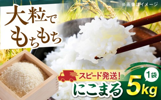 【令和7年産】【スピード発送】にこまる 玄米品質1等米 白米 5kg 糸島市産 糸島市 / 糸島の恵み  [AGR001] お米 こめ コメ ご飯 にこまる 5kg 国産 ごはん ライス 大粒 精米 最速 最速配送