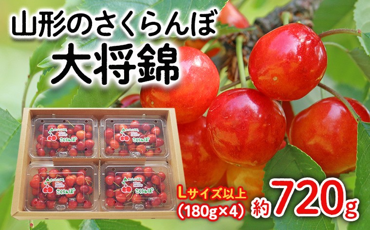 
                  山形のさくらんぼ 大将錦 Lサイズ以上 720g(180g×4) 【令和8年産先行予約】FS25-525 くだもの 果物 フルーツ 山形 山形県 山形市 2026年産
                