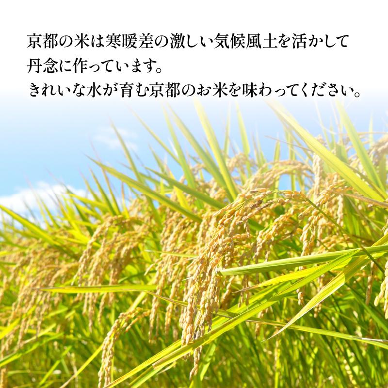 ふるさと納税 京都府 【毎月定期便】京都府産 丹後コシヒカリ 玄米 10kg全6回 |  | 01
