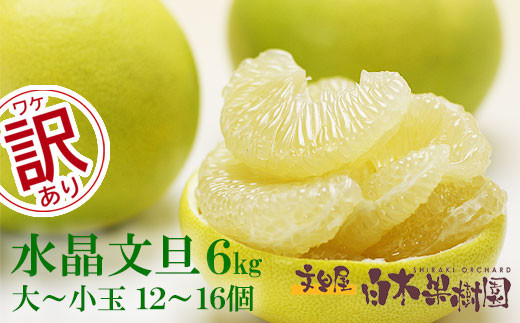 【先行予約】水晶文旦 ご家庭用お得箱 約６kg Mサイズ～４Ｌサイズ（12～１６個入り）〈2026年10月上旬～11月上旬頃発送〉訳あり ワケあり 訳 傷 キズ へこみ 文旦 ブンタン ぶんたん 水晶文旦 果物 柑橘 フルーツ 家庭用 ご自宅用【白木果樹園】 [BQAI022]