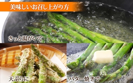 北海道産 グリーン アスパラガス 約1kg 2L アスパラガス アスパラ 旬 朝採り 野菜 新鮮 野菜 お取り寄せ 産地直送 産直 野菜 農作物 詰め合わせ アスパラ 国産 野菜 しりべしや ニセコフ
