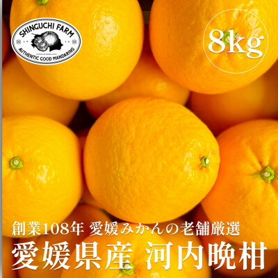 【ふるさと納税】創業百八年 愛媛みかんの老舗【河内晩柑8kg】【新口農園】【C70-17】_ 晩柑 河内晩柑 みかん ミカン 柑橘 フルーツ 果物 くだもの 青果 産地直送 産直 愛媛 甘い ジューシー 常温 和製グレープフルーツ さっぱり 家庭用 【1470707】