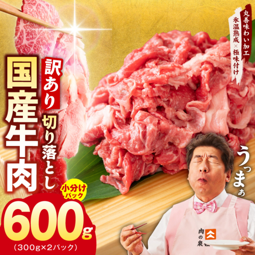 国産牛 切り落とし 600g 小分け 300g×2P【氷温熟成×極味付け 国産 牛肉 訳あり サイズ不揃い カレー 牛丼 野菜炒め 肉じゃが 家計応援】 mrz0360