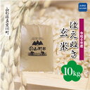 【ふるさと納税】 令和6年産 真室川町厳選 はえぬき ＜玄米＞ 10kg（10kg×1袋）