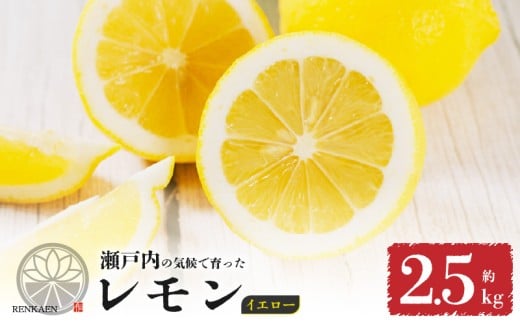 【先行予約】 【イエローレモン】 【 2026年1月上旬から発送】  約2.5kg 防腐剤 ワックス 不使用｜ 訳あり レモン 檸檬 完熟 柑橘 酸味 国産 愛媛県産 訳あり 新鮮 愛媛 松山