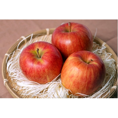 
                  ＜2026年10月発送予定＞平均糖度12度以上! 葉とらずサンつがる 約3kg 訳あり【1667862】
                