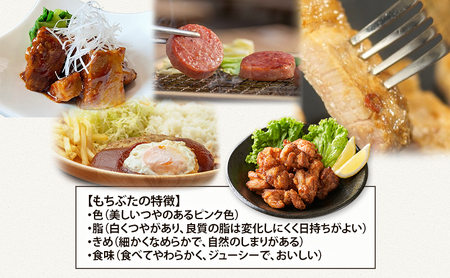 【5ヵ月定期便】全5回 和豚もちぶた 角煮 ボロニアソーセージ 2種 味噌塩糀漬け ハンバーグ から揚げ 豚肉