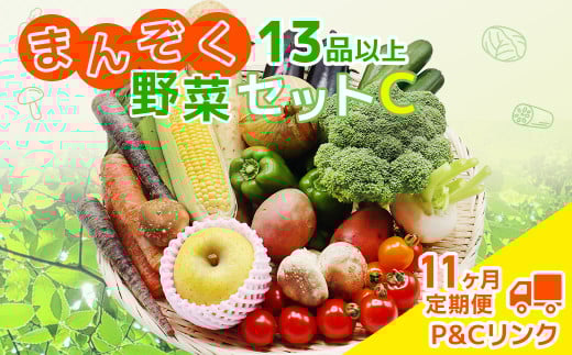【 11ヶ月 定期便 】  野菜セット 13品 季節 旬 野菜 詰め合せ 定期 国産 季節 旬 おまかせ 産地直送 春野菜 夏野菜 秋野菜 きのこ 葉物 果物 果菜 根菜 冷蔵 野菜室 ダイエット 食 栄養食 加工品 カット野菜 岩手県産 北上産 季節限定 山菜 ブロッコリー たまねぎ さつまいも とうもろこし サラダ トマト しいたけ アスパラガス 送料無料 岩手県 北上市 Q0221