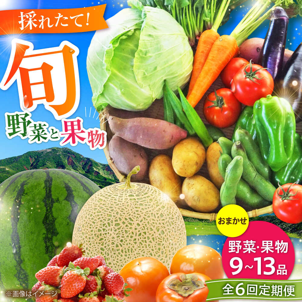 【ふるさと納税】【全6回定期便】菊陽町特産品 「野菜・果物などの詰め合わせ」 / 新鮮 詰合せ フルーツ セット 旬 おまかせ にんじん ごぼう 直売所 やさい 野菜 くだもの 果実 熊本県 特産品 菊陽町【有限会社さんふれあ】[BHAK008]