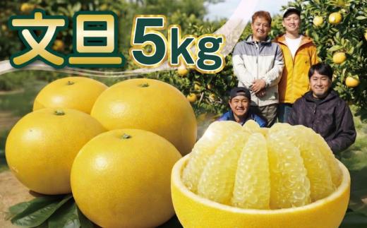 太陽の土佐文旦 家庭用 5kg（L～4L 約10～15個前後）