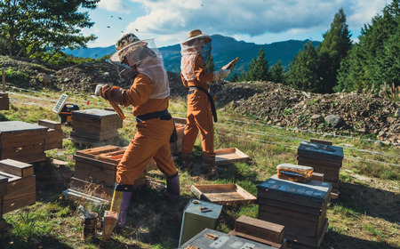 【ギフト包装】wafu いちごミード（蜂蜜のお酒） A-MR-A04A