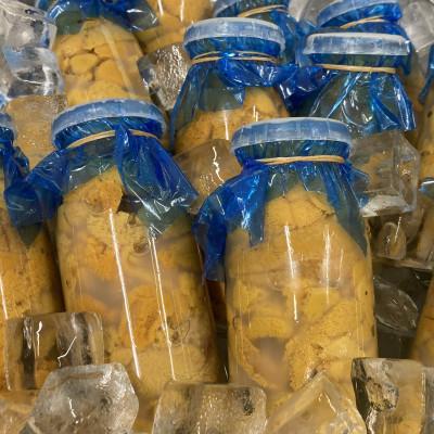 ふるさと納税 田野畑村 【令和7年6月から順次お届け】　断崖と荒波で育つ岩手・北三陸たのはた　瓶生うに(160g入り2本) |  | 03