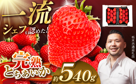【栃木県共通返礼品】先行予約 完熟とちあいか Grande（グランデ）270g×2P 