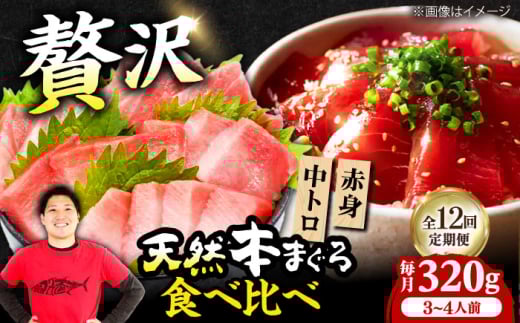 【全12回定期便】極上！たね熟天然本まぐろ赤身＆中トロセット(320g 各160g) 天然 マグロ 鮪 中トロ 刺身 魚 赤身 魚介類 海鮮丼 本マグロ 本まぐろ 中トロ 大トロ 赤身 冷凍 お刺身 お寿司 大阪府高槻市/本まぐろ直売所 [AOCE042]