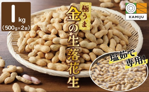 【2025年発送】事前予約 やみつき極うま  “金の生落花生” 1kg(500g×2袋) 生ピーナッツ 塩ゆで専用　H105-141