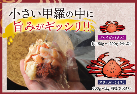 【最新の冷凍技術】越前がに「せいこがに」身出し甲羅盛り 70g × 5杯 70g × 5杯