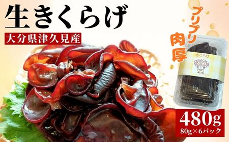 津久見産の肉厚　生きくらげ　80g×6パック（480g）|　木耳