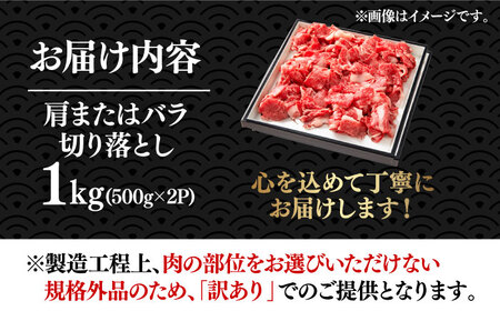 【たっぷり大容量！】博多和牛 切り落とし 1000g （500g×2P）《築上町》【株式会社MEAT PLUS】 [ABBP010] おすすめ切り落とし肉 定番切り落とし肉 切り落とし肉煮込み 切り落