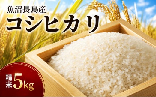 
                  令和8年産【雪解け水で育てた】魚沼すもん長鳥産こしひかり（5kg） 1袋 魚沼産コシヒカリ 魚沼産こしひかり こしひかり コシヒカリ 米 5kg 精米  ブランド米 農家直送 家庭用  新潟県 魚沼市
                