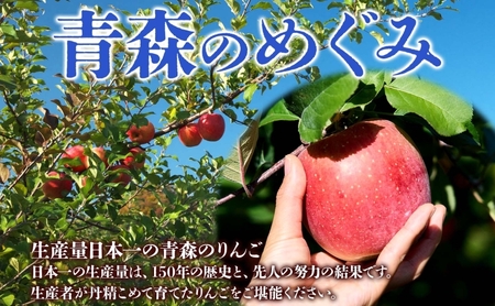 サンふじ 約3kg 贈答用 特A 特選 2月発送 化粧箱入 りんご 林檎 リンゴ 果物 フルーツ くだもの 旬 青森県産 お取り寄せ 贈り物 プレゼント 人気 東北 名産 産地直送 常温 青森県 西目