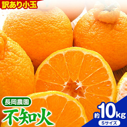 【ふるさと納税】【先行予約】訳あり 小玉 不知火 ( デコポン )と同品種 約10kg 長岡農園《2026年3月中旬-4月下旬頃出荷》和歌山県 日高川町 果物 フルーツ 柑橘 不知火 しらぬい 小玉 訳あり ご家庭用 送料無料