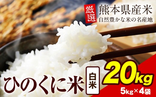 白米 ひのくに米 20kg 《7-14日以内に出荷予定(土日祝除く)》 食品 米 こめ コメ 熊本県産 ふるさと納税 お米 おこめ 熊本