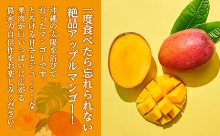 【先行受付】【2024年発送】アップルマンゴー 秀品 南城市 約1kg (2～3玉)