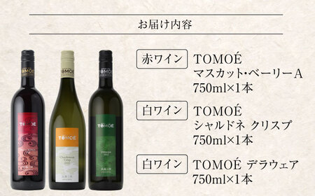〜TOMOE 厳選3種〜おすすめ飲み比べ3種セット ワイン 受賞 飲み比べ ワインセット ギフト 三次市 / 広島三次ワイナリー[APAZ027]