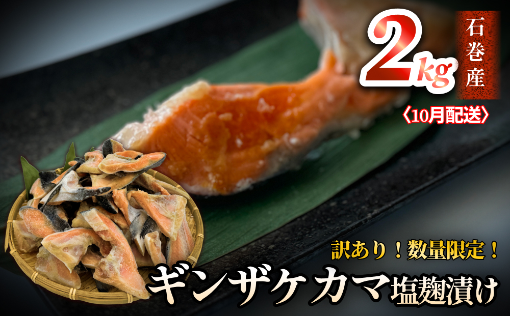 【数量限定】10月配送 訳あり ギンザケ カマ 塩麹漬け 石巻産 2kg 銀鮭 鮭カマ 　さけカマ ギンザケカマ 銀鮭カマ 塩麹漬けカマ 鮭 漬魚 サーモン 鮭 焼き魚 魚 焼魚