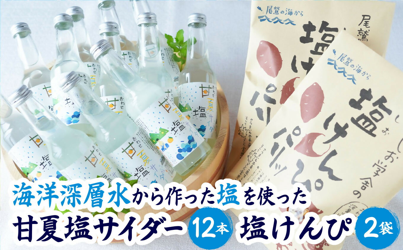 【ふるさと納税】海洋深層水 の 甘夏 塩 サイダー ［香料・酸味料・保存料不使用］ と 塩けんぴ 2袋 12本 炭酸 ジュ ース 飲料 菓子 つまみ ギフト 贈り物 詰め合わせ 三重県 尾鷲 しお学舎 MO-22