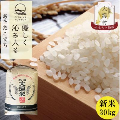 ふるさと納税 大潟村 予約受付開始!秋田県産　あきたこまち30kg　1等　玄米【令和7年産】《11月初旬より発送》