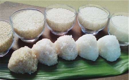 農薬使わない栽培！ 糸島産 夢つくし 5kg 玄米・分搗き対応！ 糸島市 / 二丈赤米産直センター[ABB025]