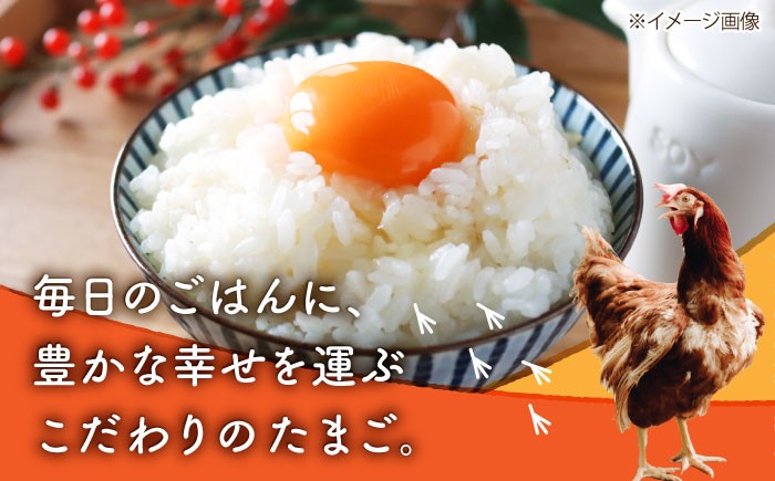 卵 赤たまご M玉 タマゴ 玉子 熊本県 特産品 赤玉子 生たまご 生卵 鶏卵 卵かけご飯
