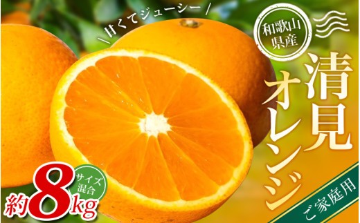 【家庭用】 森本農園の手選別 清見オレンジ 約8kg 和歌山県産 サイズ混合 ※2026年2月上旬～6月上旬頃順次発送 / きよみ 清見 柑橘 ご家庭用 期間限定 由良町 果物 フルーツ 和歌山県【mrmt048】