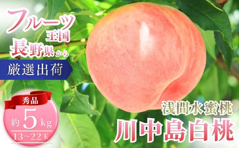 桃 先行予約 浅間水蜜桃 川中島白桃 約5kg 秀品 13～22玉 贈答品 フルーツ 果物 白桃 甘い 冷蔵
