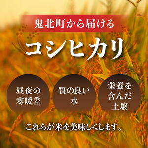 【R7年産新米】愛媛県産 コシヒカリ 5kg ｜ ご飯 白米 お米 令和7年産 5kg 10kg 20kg 精米済み ※2025年10月上旬～12月下旬頃に順次発送予定 ※離島への配送不可