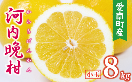 【数量限定】 河内晩柑 小玉 8kg みかんの山祥 河内晩柑